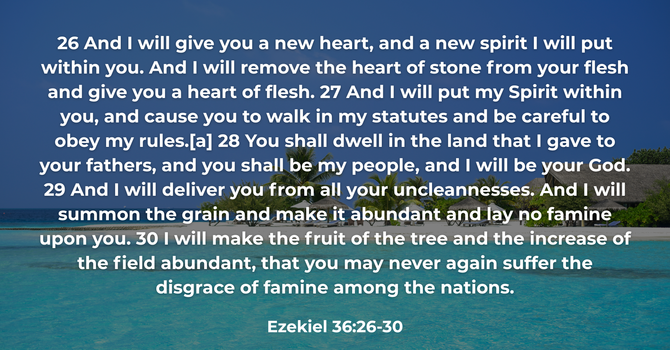 Ezekiel 36:26-30 image
