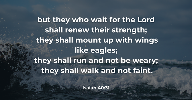 Isaiah 40:31 image