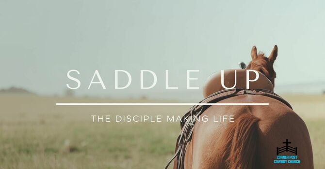 Saddle Up 