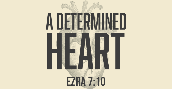 A Determined Heart 