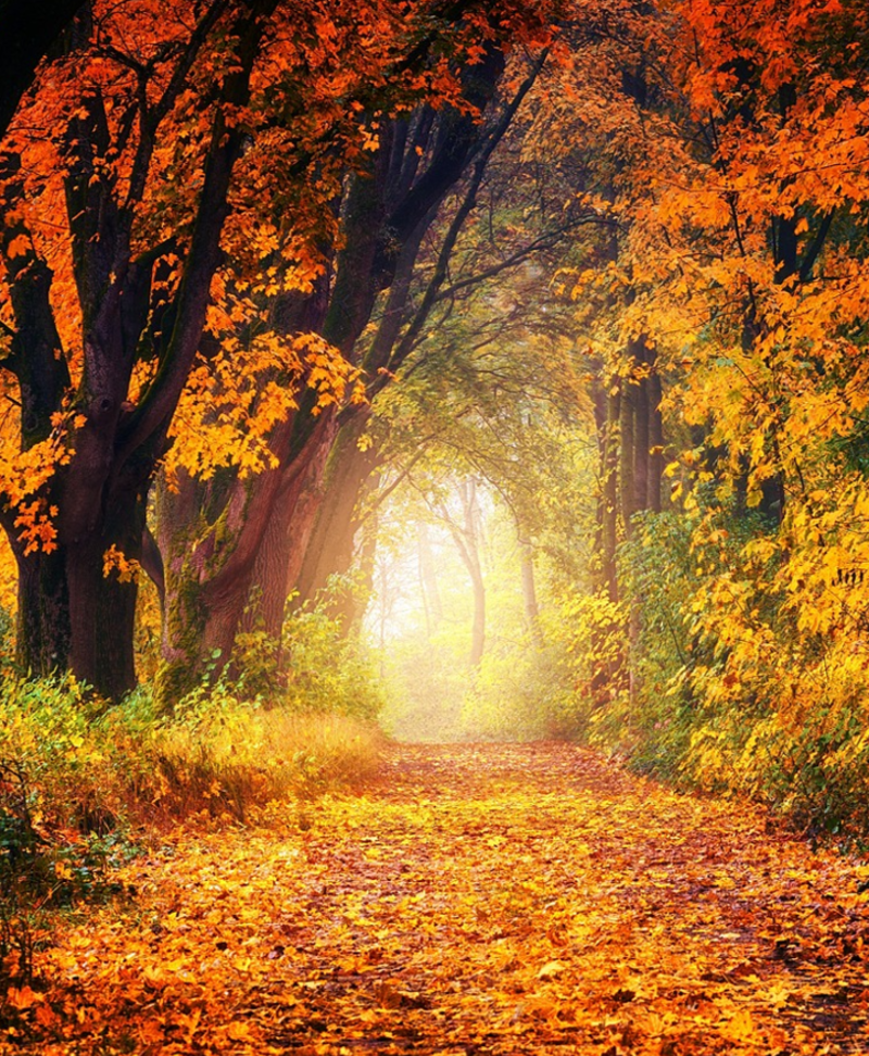 Third Sunday after the Epiphany