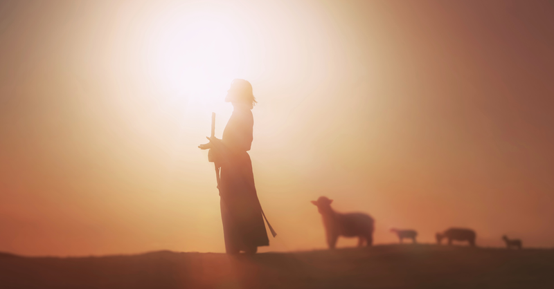 3rd Sunday After Epiphany