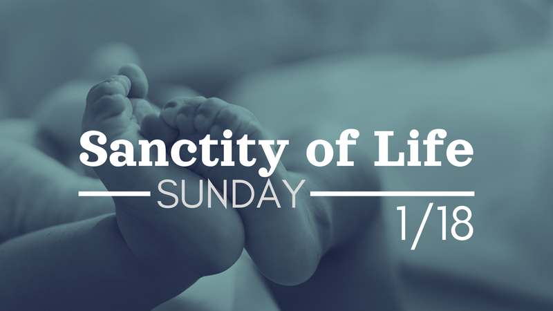 The Sacredness of Human Life