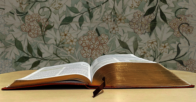 Why Women (and Men) Need to Study Joshua image