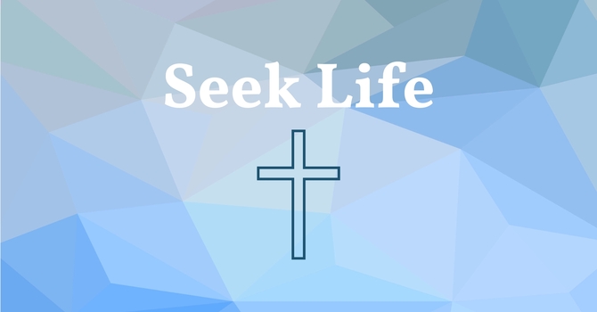 Seek Life
