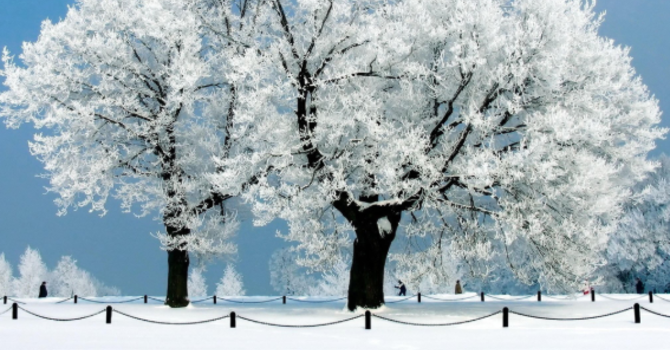 Saturday Night Devotional