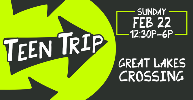 Teen Trip to Great Lakes Crossing Mall
