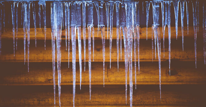 Services Canceled - Wednesday, January 28, 2026 image