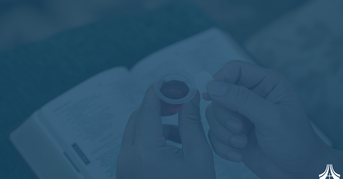 Youth and Communion image