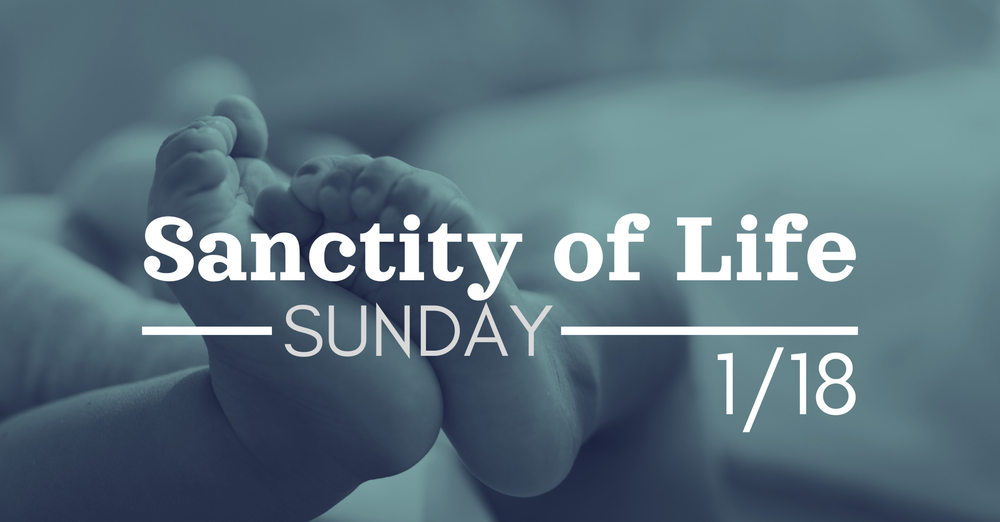 The Sacredness of Human Life