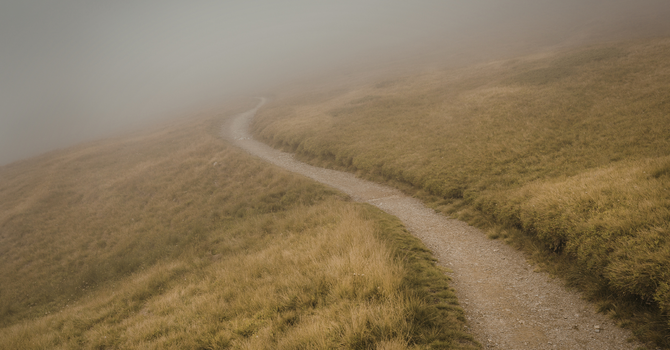 Onward Through The Fog