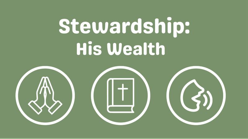 Stewardship