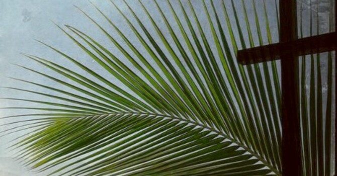 The Sunday of the Passion: Palm Sunday