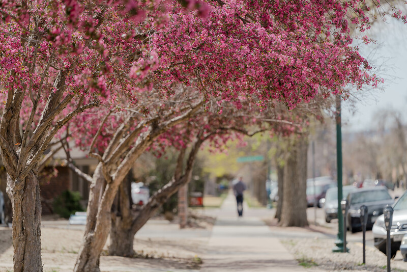 Remember Me: Trans Remembrance and Celebration Day!
