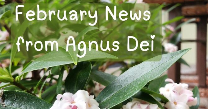 February 2026 Newsletter image