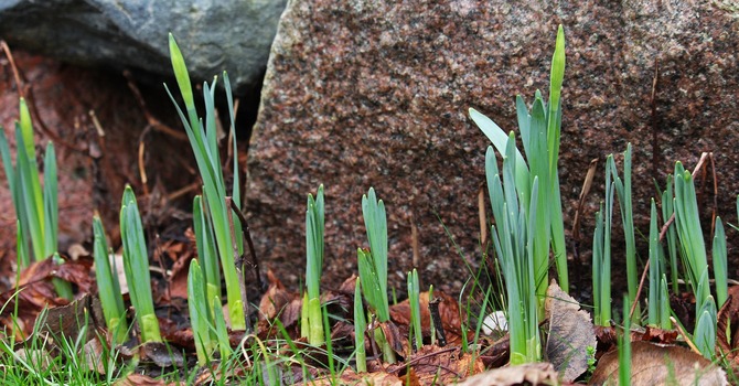 Climate & Environmental Justice Committee Meeting