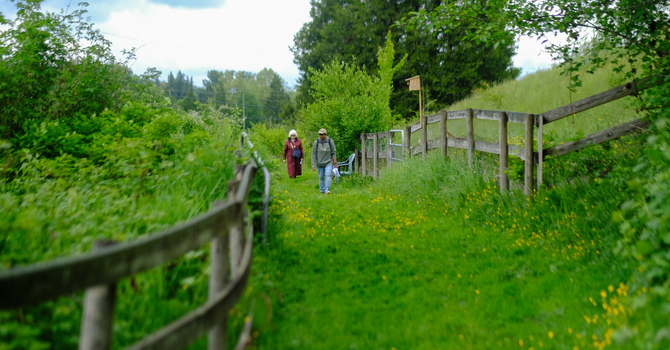 Theology of Land Webinar