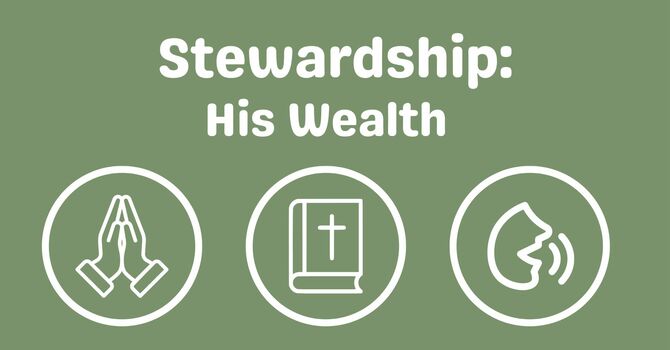 Stewardship
