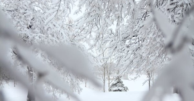 January 30, 2026 Devotion image