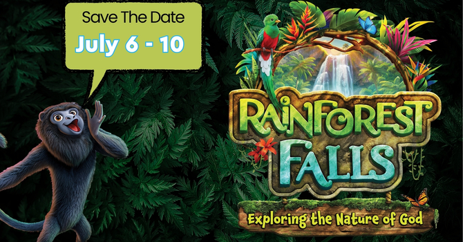 Rainforest Falls VBS