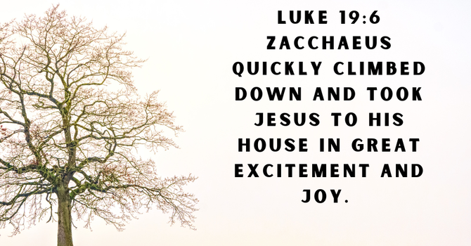 Luke 19:6 image