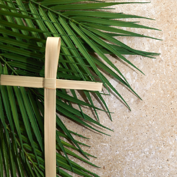 Please return Palm Crosses from last year