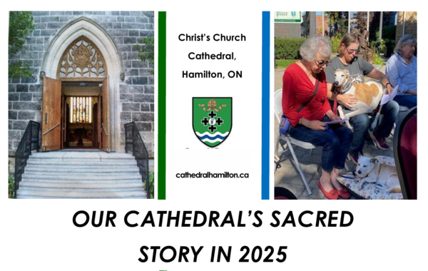 Our Cathedral's Sacred Story in 2025