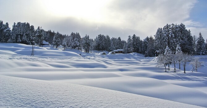 Cancellation of All Services