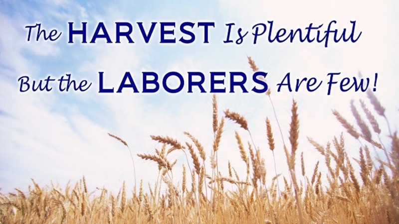 The Harvest is Plentiful; the Laborers are Few