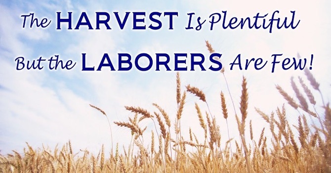 The Harvest is Plentiful; the Laborers are Few