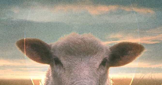 I Shall Not Want: The Shepherd and His Sheep image