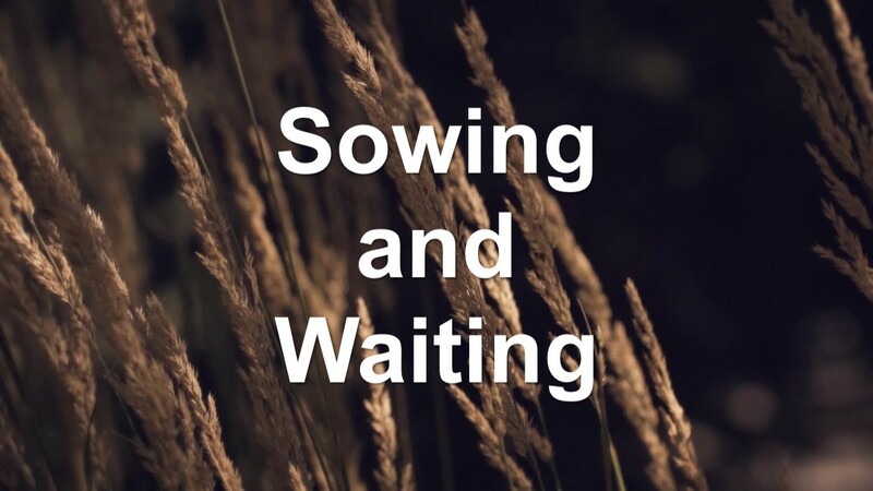 Sowing and Waiting