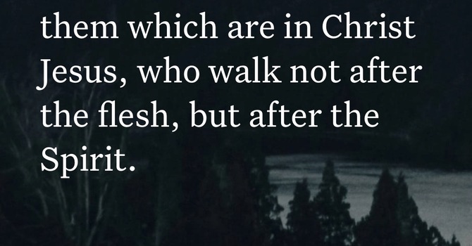 How to start making decisions that honor God image