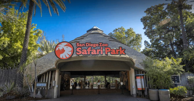 Saturday's of Sisterhood | Trip to the Zoo