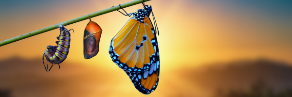 A Message From Your Prayer Chaplain's