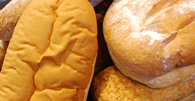 BREAD in the WILDERNESS 