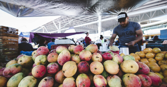 February Fridays - Food Bank Volunteer Sign-Up image
