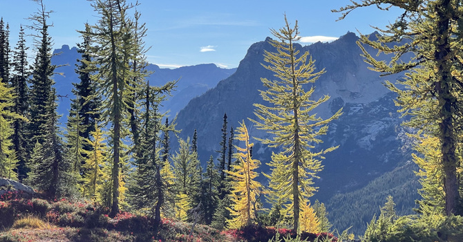 North Cascades Wild Church Update image