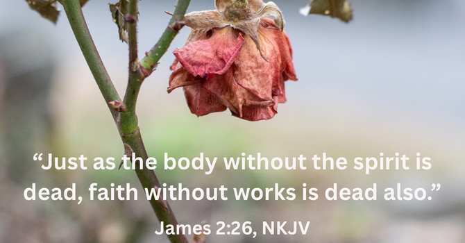 The Faith to Believe image