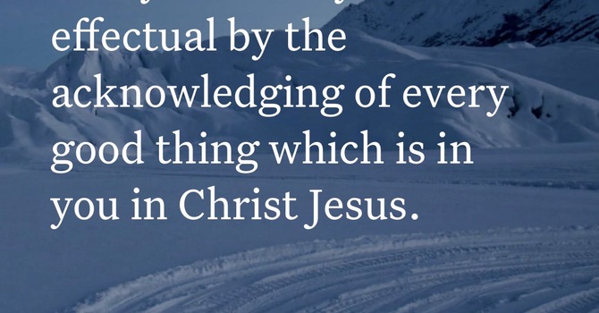 Every Good Thing We Share image