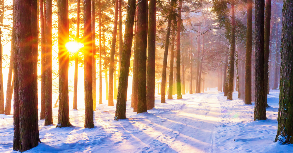 Fourth Sunday after the Epiphany