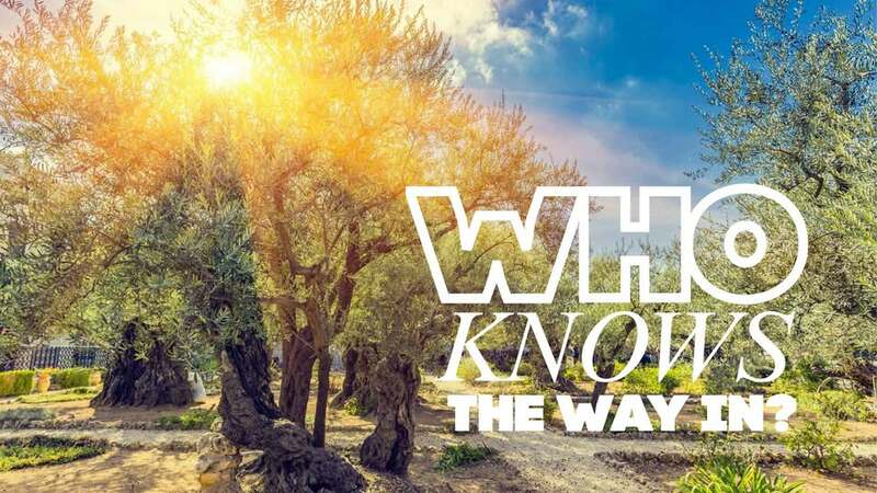 Who Knows the Way In