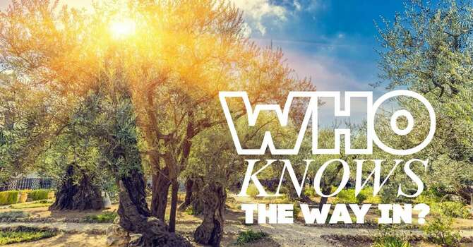 Who Knows the Way In