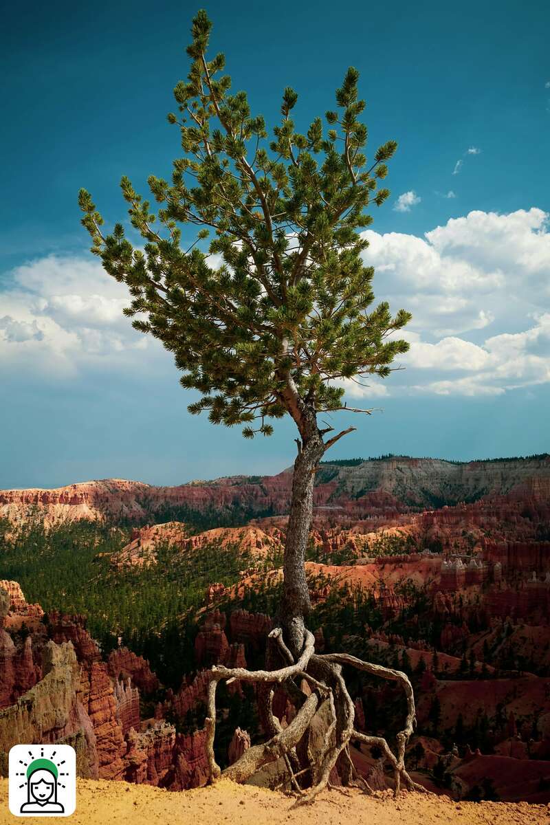 Worship: "Love Is Joy. Joy Is Resilience."