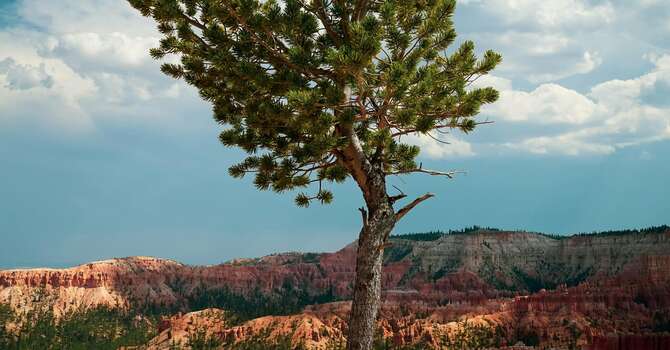 Worship: "Spiritual Resistance"