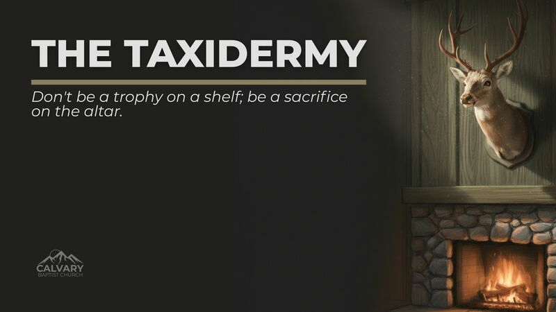 The Taxidermy