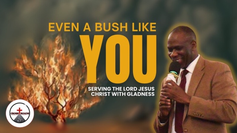 Even A Bush Like You