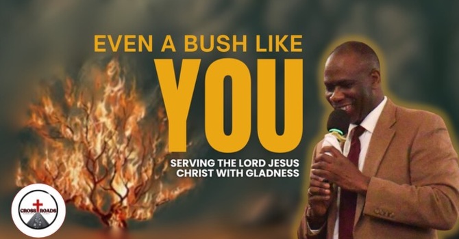 Even A Bush Like You