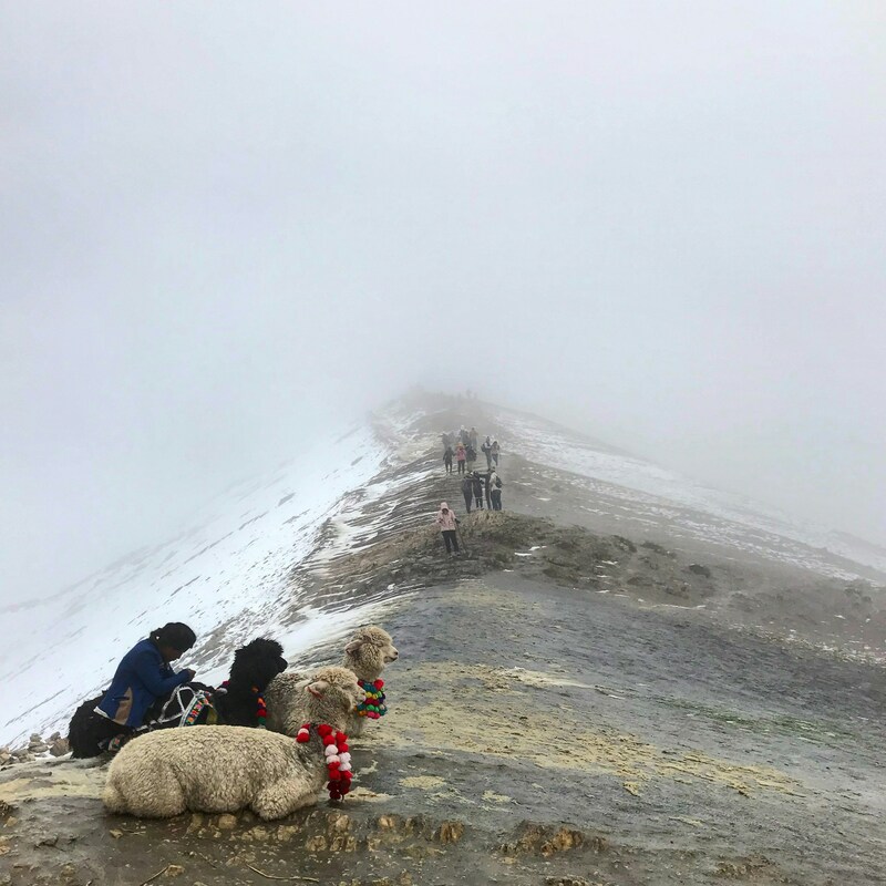 Fourth Sunday after Epiphany Talk