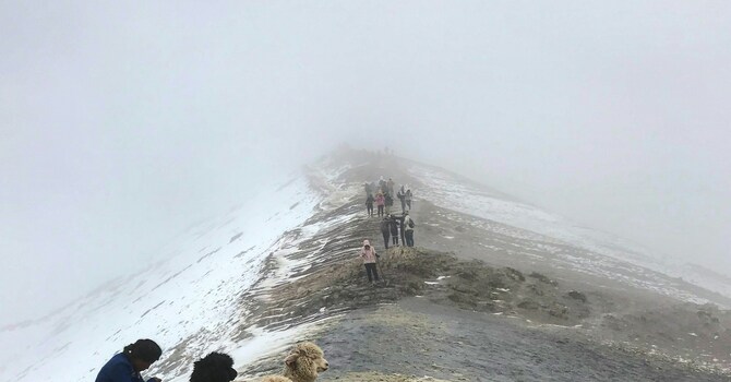 Fourth Sunday after Epiphany Talk